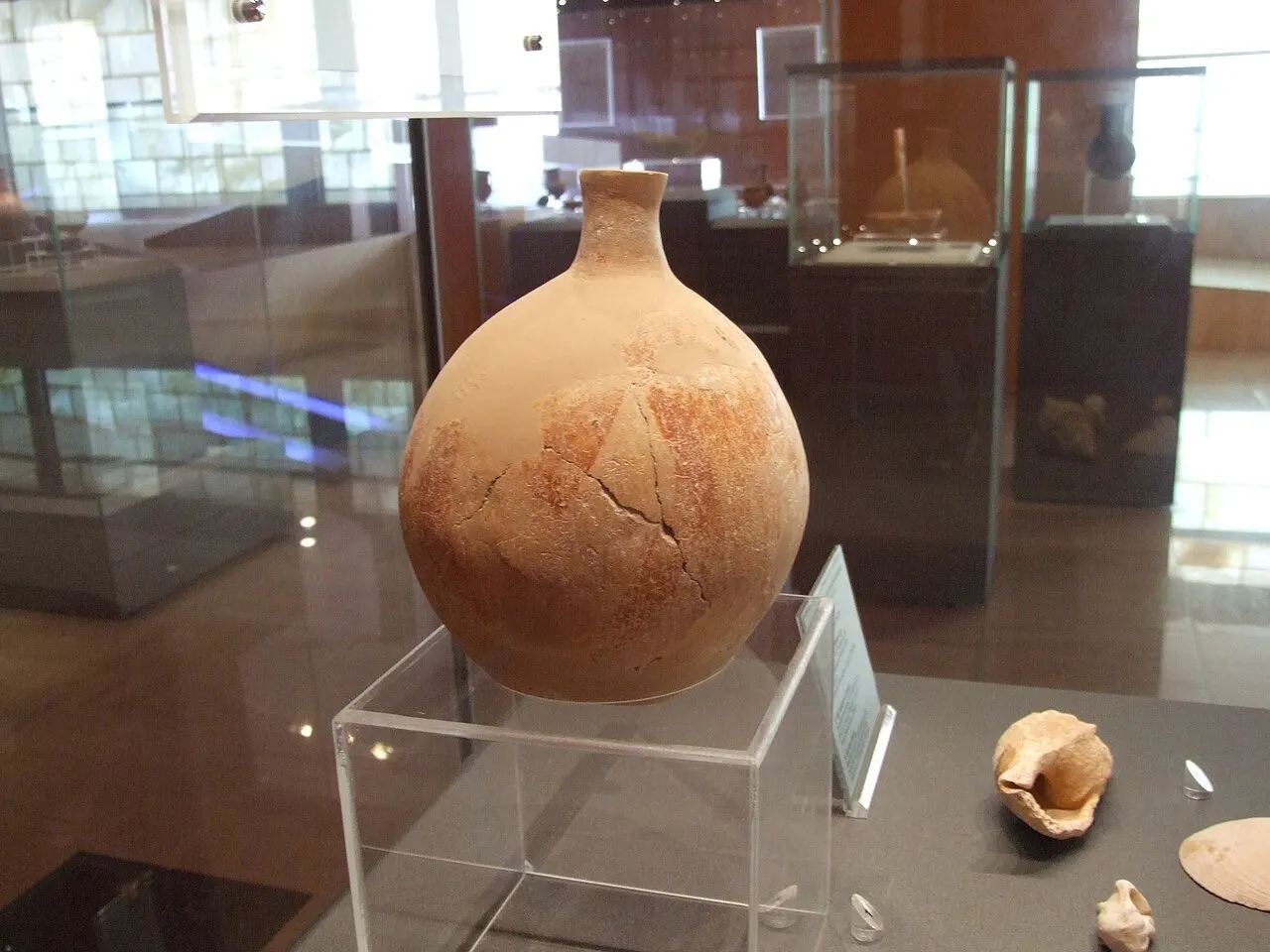 Thalassa Municipal Museum — Ayia Napa & Paralimni