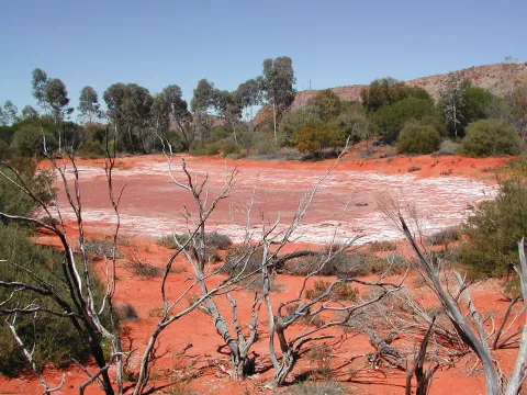 Alice Springs Desert Park — Alice Springs