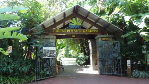 Jardins botaniques de Cairns — Cairns