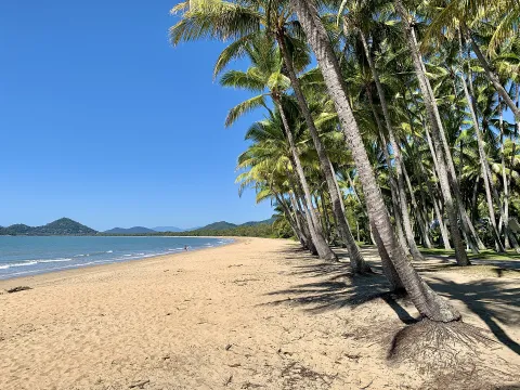 Palm Cove — Cairns