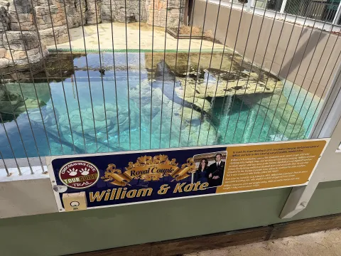 Crocosaurus Cove — Darwin