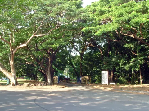 George Brown Darwin Botanic Gardens — Darwin