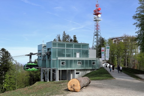 Grünberg Cable Car & Treetop Walk — Gmunden
