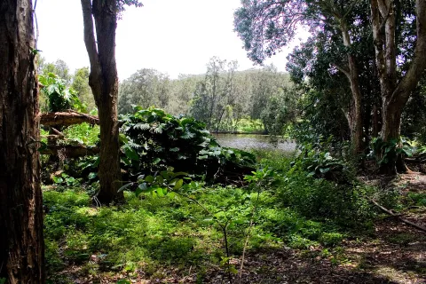 Currumbin Wildlife Sanctuary — Gold Coast