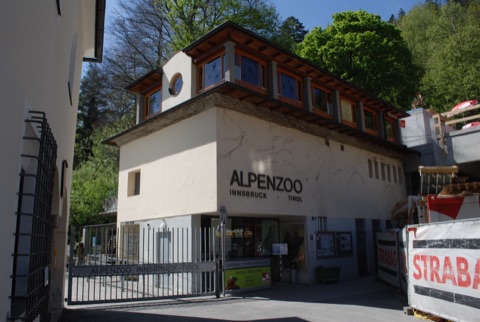 Alpine Zoo (Alpenzoo) — Innsbruck