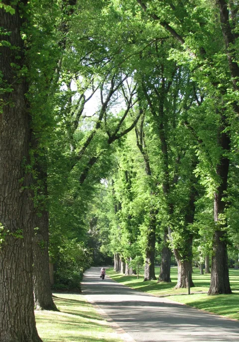 Fitzroy Gardens and Cooks' Cottage — Melbourne