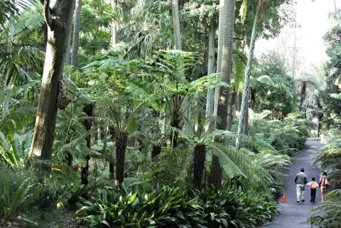 Royal Botanic Gardens Melbourne — Melbourne