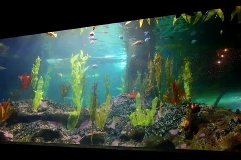 National Aquarium of New Zealand — Napier et Hastings