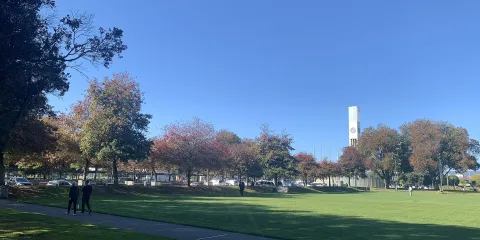 The Square (Te Marae o Hine) — Palmerston North