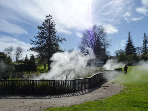 Kuirau Park — Rotorua