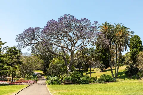 Royal Botanic Garden Sydney — Sydney