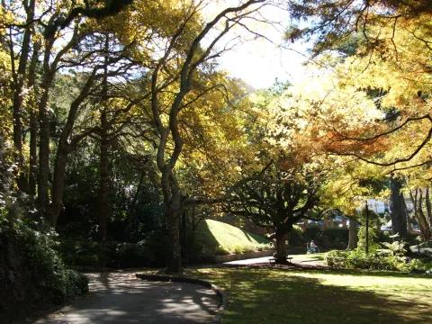 Wellington Botanic Garden — Wellington