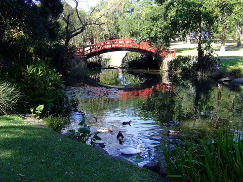 Wollongong Botanic Garden — Wollongong