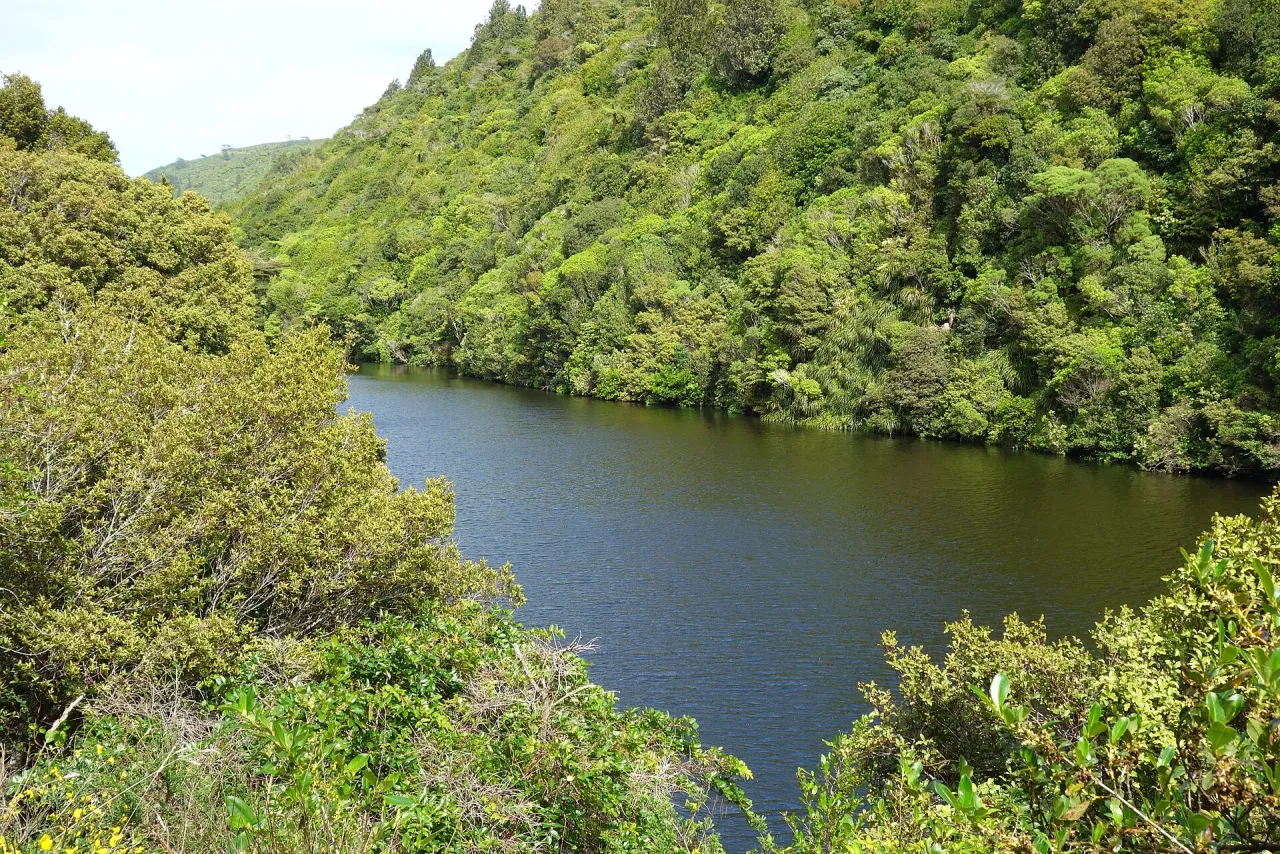 Zealandia Te Māra a Tāne — Wellington