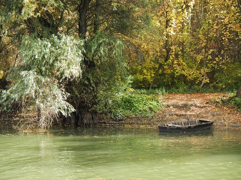 Gradska šuma — Pančevo